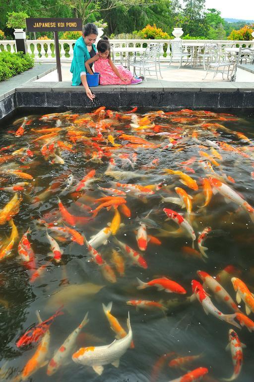 Pulai Springs Official Resort